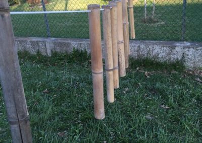 Giochi fra gli alberi