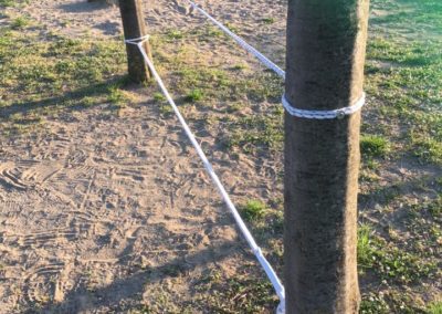 Giochi fra gli alberi